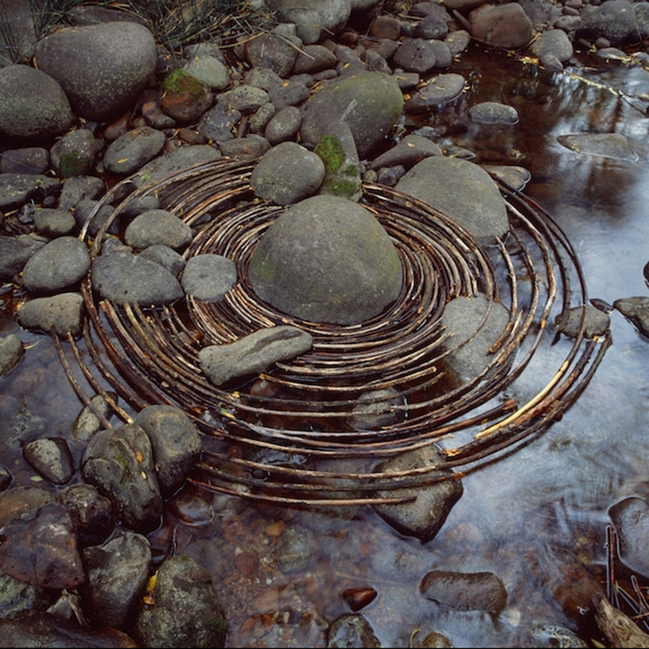 Andy Goldsworthy Rbn