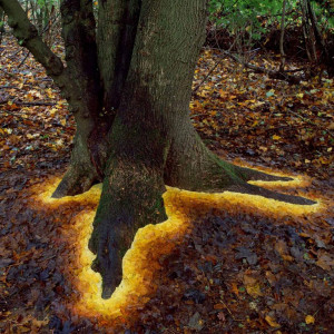 Andy Goldsworthy - rbn